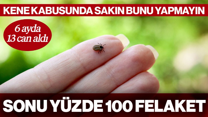 6 Ayda 13 Can Aldı! Kene Kabusunda Sakın Bunu Yapmayın, Sonu Yüzde 100 Felaket