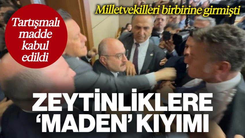 Tartışmalı 'Zeytinlik' Maddesi Kabul Edildi
