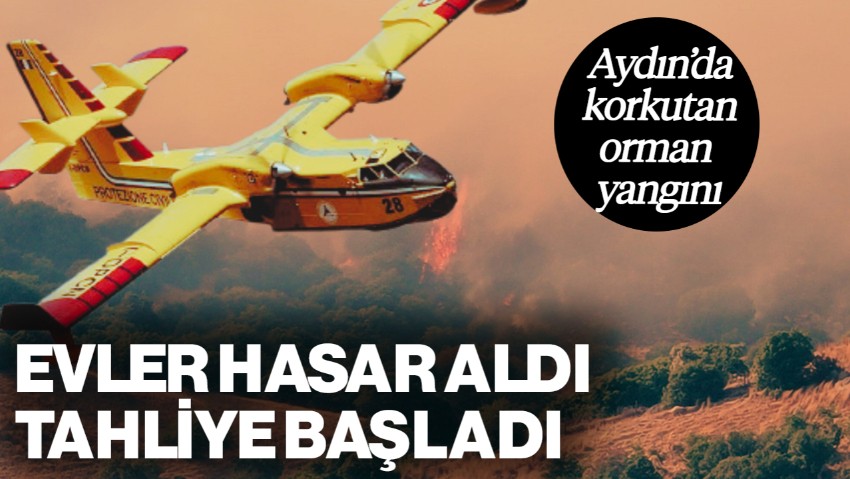 Aydın'da Korkutan Orman Yangını: Evler Hasar Aldı, Tahliye Başladı! Müdahale Sürüyor