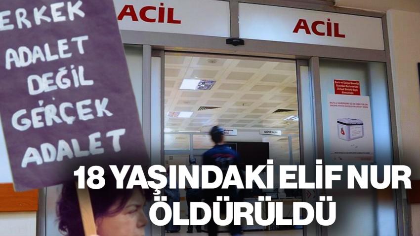 Bilecik'te Pompalı Tüfekle Vahşet: 18 Yaşındaki Elif Nur, Erkek Arkadaşı Tarafından Vurularak Öldürüldü