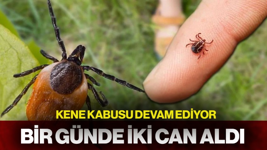 Kene Kabusu Devam Ediyor: Bir Günde İki Can Aldı