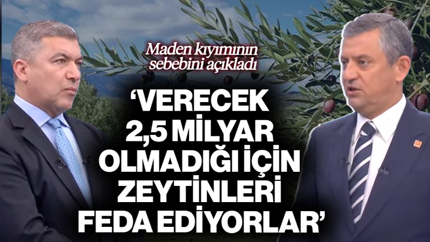 Özgür Özel Zeytinliklere Kıyımın Sebebini Açıkladı: 'Verecek 2,5 Milyar Olmadığı İçin Feda Ediyorlar'