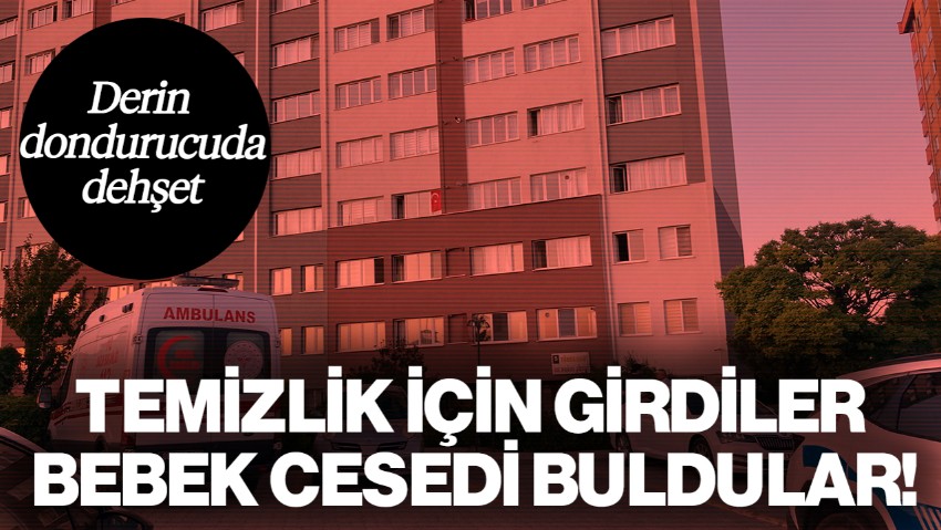 Derin Dondurucuda Dehşet: Cezaevindeki Kadının Evinde 2 Aylık Bebek Cesedi Bulundu