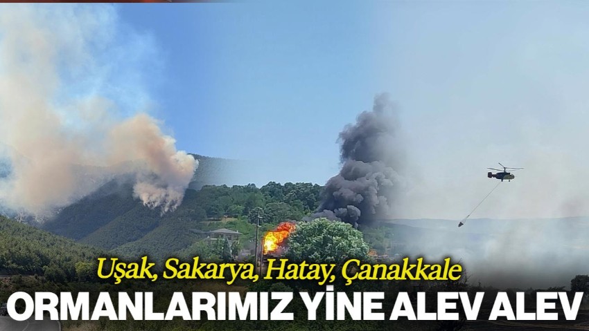 Ormanlarımız Yine Alev Alev... 4 Kentte Müdahale Sürüyor