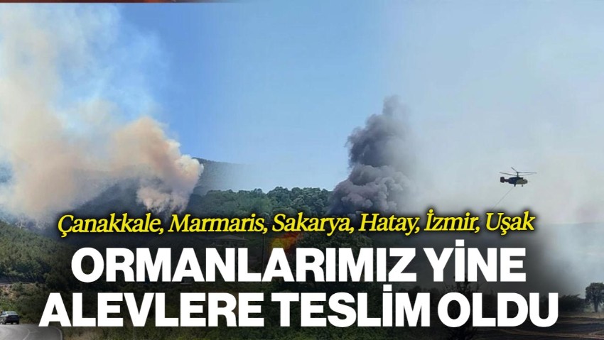 Ormanlarımız Yine Alev Alev... 6 İlde Yangınlar Kontrol Altına Alındı