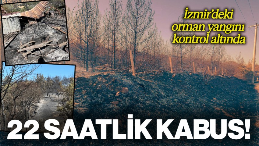 İzmir'de Korkutan Orman Yangını: 22 Saatlik Kabus Sona Erdi