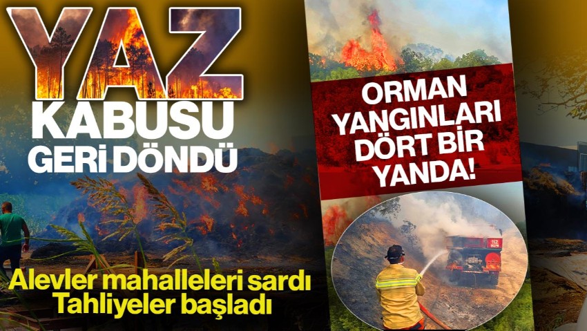 Yaz Kabusu Geri Döndü: Orman Yangınları Dört Bir Yanda! Alevler Mahalleleri Sardı, Tahliyeler Başladı