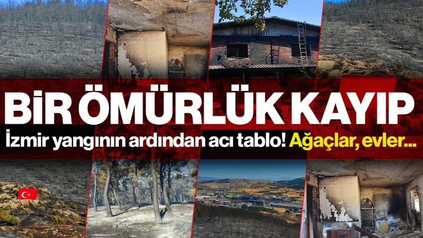 İzmir Aliağa’da Bir Ömürlük Kayıp! Yangının Ardından Yürek Burkan Kareler…