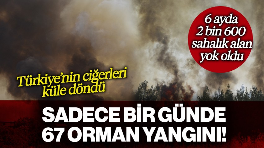 Türkiye'nin Ciğerleri Küle Döndü! Bakan Yumaklı Açıkladı: Sadece Bir Günde 67 Orman Yangını