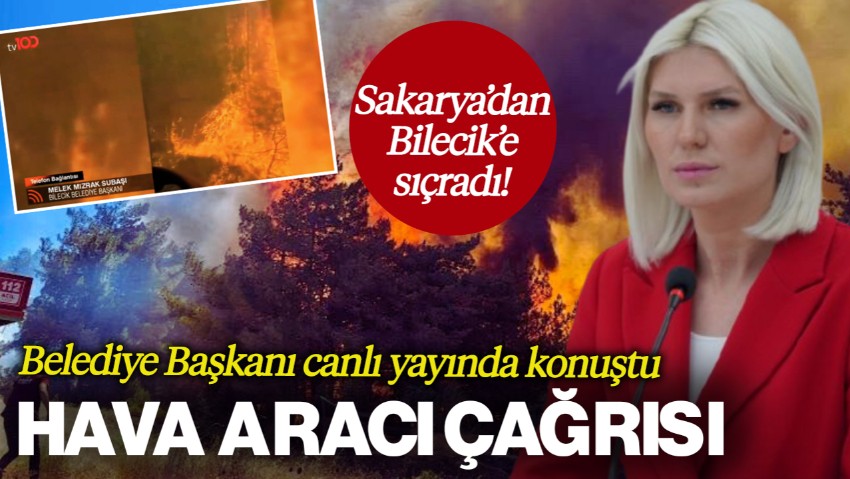 Sakarya'da Başlayan Yangın Bilecik'e Sıçradı! Belediye Başkanı Melek Mızrak Subaşı'dan Hava Aracı Çağrısı