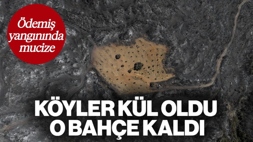 Ödemiş Yangınında Mucize! Köyler Kül Oldu, O Bahçe Sapasağlam Kaldı: Emeğimin Karşılığını Aldım