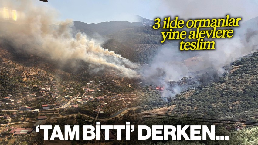 Yangın Kabusu Bitmiyor: 3 İlde Ormanlar Yine Alevlere Teslim!
