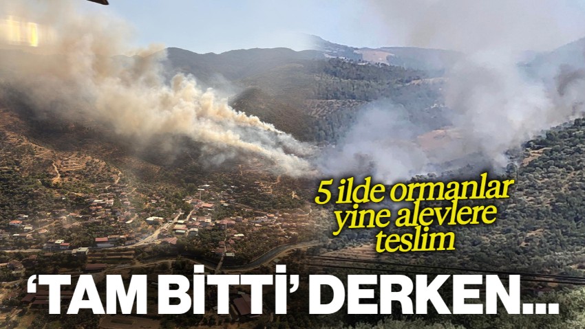 Yangın Kabusu Bitmiyor: 5 İlde Ormanlar Yine Alevlere Teslim!