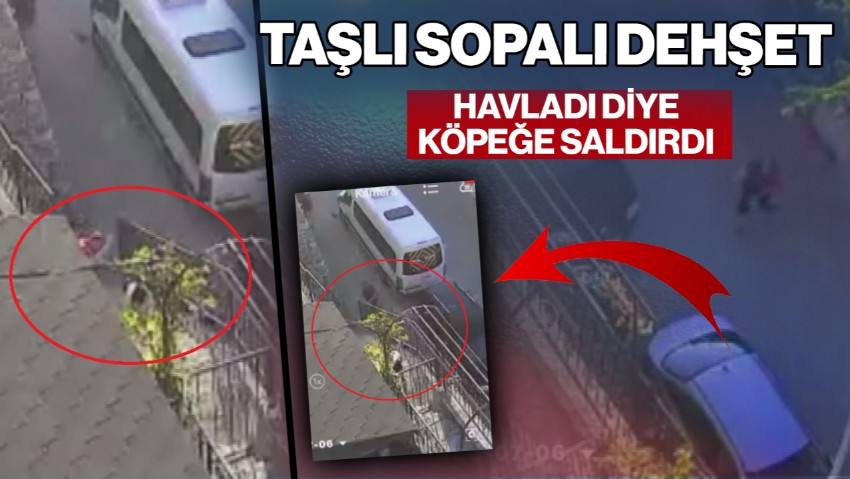Taşlı Sopalı Dehşet! Havladı Diye Köpeğe Saldırdı