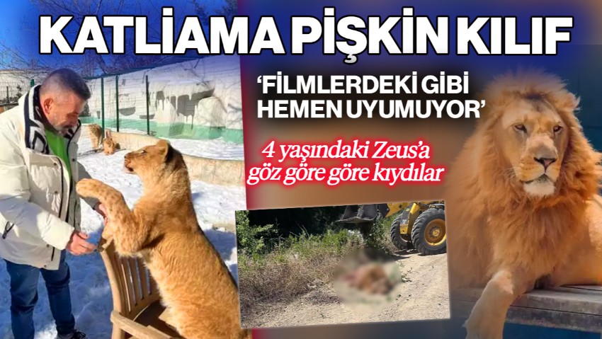 4 Yaşındaki Zeus’a Göz Göre Göre Kıydılar! Katliama Pişkin Kılıf: 'Filmlerdeki Gibi Hemen Uyumuyor'