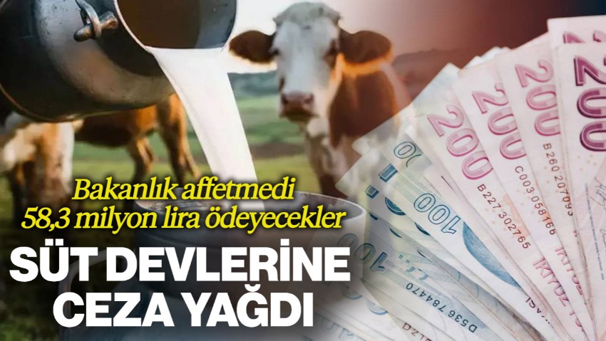 Süt Devlerine Ceza Yağdı! Bakanlık Küçük Üreticilere Ödeme Yapmayan Büyük Firmaları Affetmedi