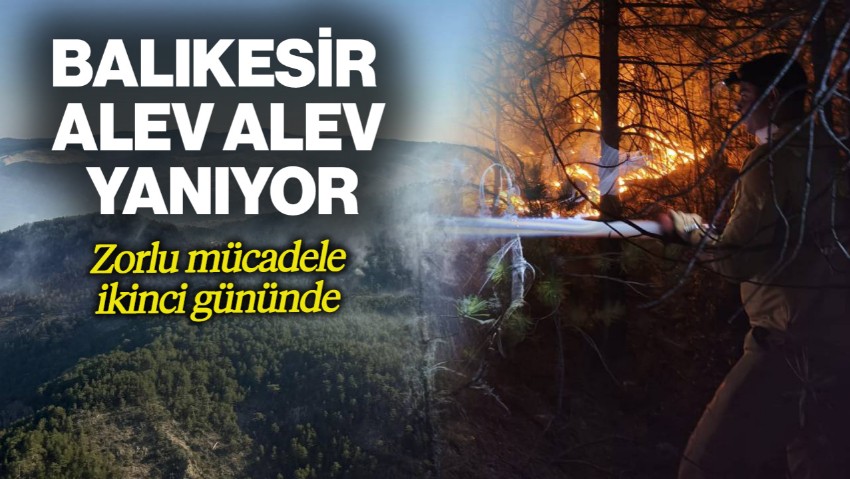 Balıkesir'de Orman Yangını! Ekiplerin Alevlerle Zorlu Mücadelesi Sürüyor
