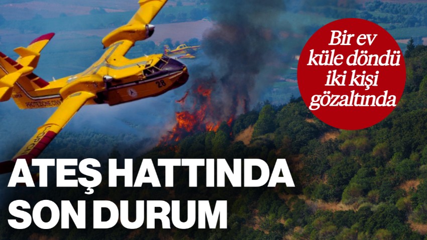 Türkiye'nin Ciğerleri Yanıyor: Ateş Hattında Son Durum! Bir Ev Küle Döndü, İki Kişi Gözaltına Alındı
