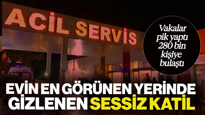 Evin En Görünen Yerinde Gizlenen Sessiz Katil! ABD’de Vakalar Pik Yaptı, 280 Bin Kişiye Bulaştı