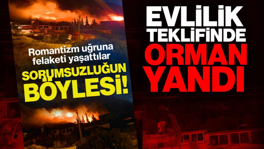 Sorumsuzluğun Böylesi: Romantizm Uğruna Felaketi Yaşattılar! Evlilik Teklifinde Orman Yandı