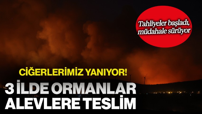 Ciğerlerimiz Yanıyor: Türkiye'nin Dört Bir Yanında Yangın!