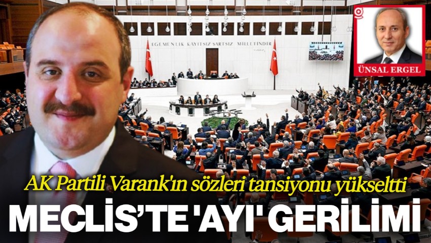 Meclis’te 'Ayı' Gerilimi: AK Partili Varank'ın Sözleri Tansiyonu Yükseltti