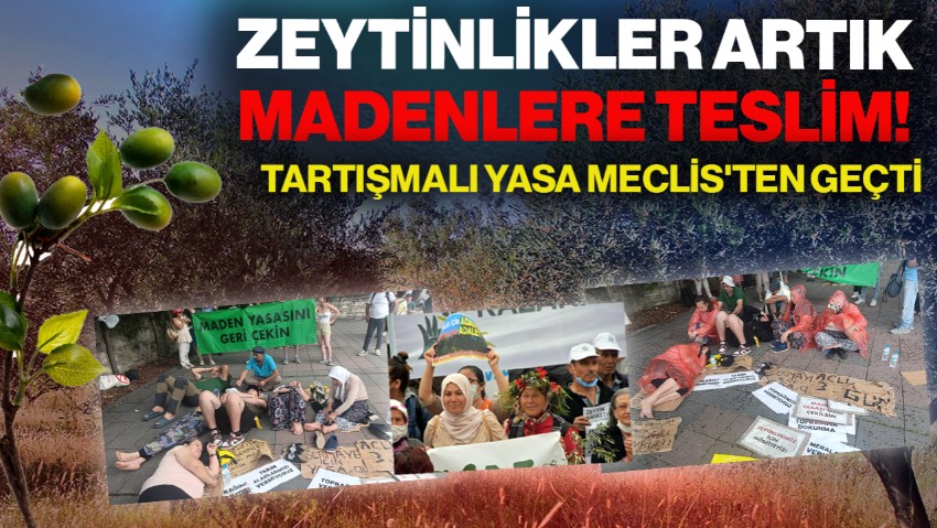 Tartışmalı Yasa Meclis'ten Geçti… Zeytinlikler Artık Madenlere Teslim!