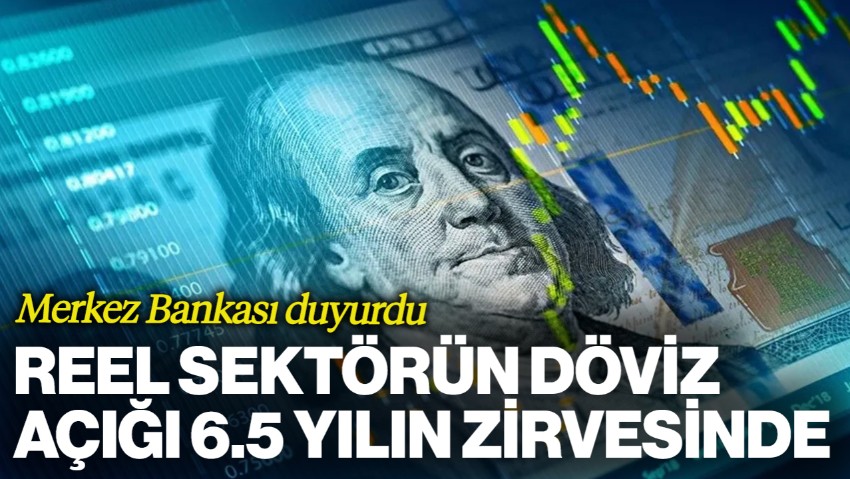 Merkez Bankası Duyurdu: Reel Sektörün Döviz Açığı 6.5 Yılın Zirvesinde