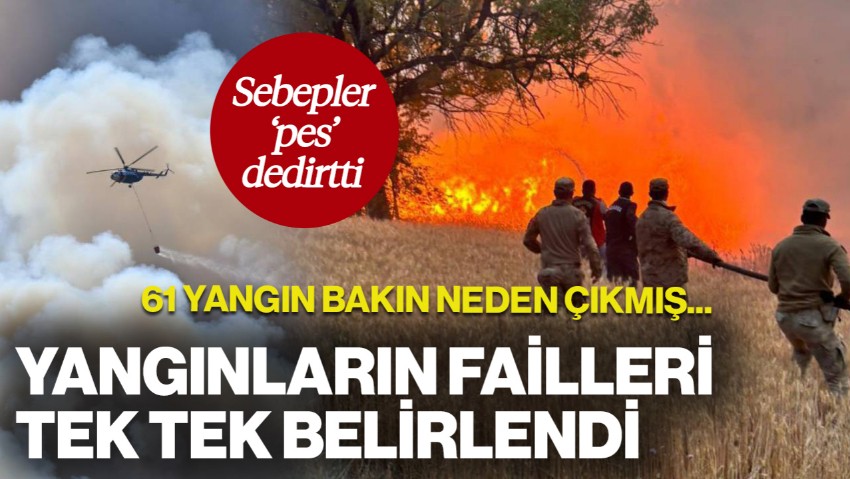 Sorumlular Tek Tek Belirlendi! 61 Orman Yangınıyla İlgili 4 Tutuklama