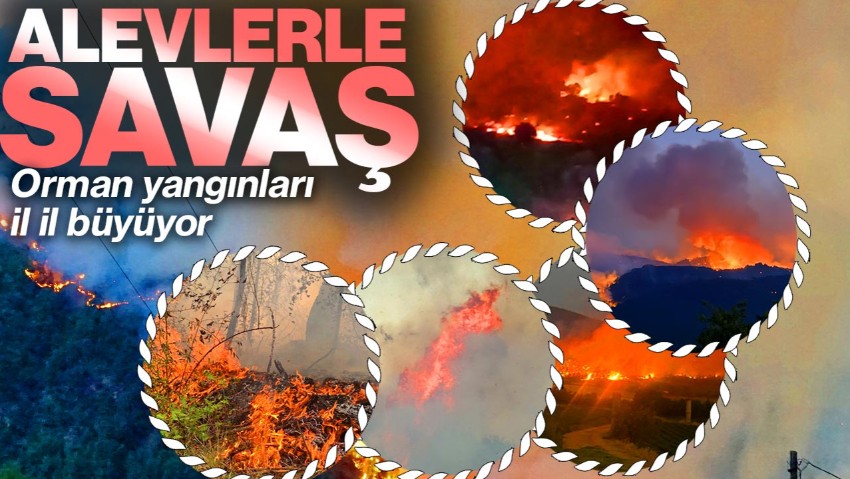 Alevlerle Savaş: Orman Yangınları İl İl Büyüyor! Eskişehir, Bilecik, Karabük, Afyonkarahisar, İzmir