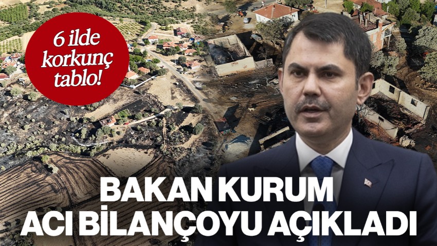 6 İlde Acı Tablo! Bakan Kurum Orman Yangınlarının Bilançosunu Açıkladı