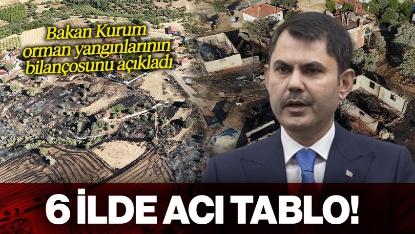 6 İlde Acı Tablo! Bakan Kurum Orman Yangınlarının Bilançosunu Açıkladı