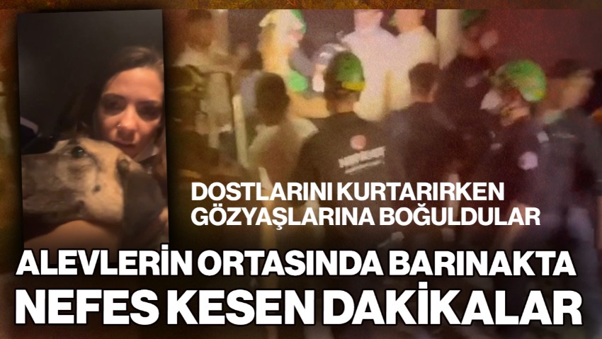 Bursa’da Barınakta Nefes Kesen Dakikalar! Dostlarını Kurtarırken Gözyaşlarına Boğuldular