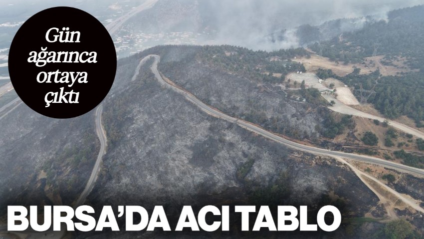 Bursa'daki Acı Tablo Gün Ağarınca Ortaya Çıktı