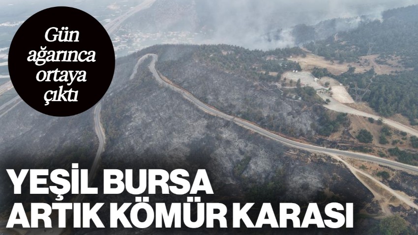 Yeşil Bursa Artık Kömür Karası... Acı Tablo Gün Ağarınca Ortaya Çıktı