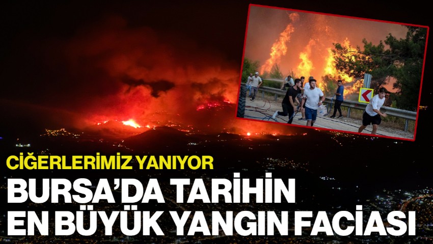 Türkiye'nin Ciğerleri Yanıyor... Bursa'da Tarihin En Büyük Yangın Faciası
