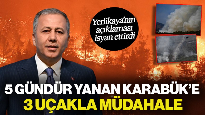 Yerlikaya'nın Açıklaması İsyan Ettirdi: 5 Gündür Yanan Karabük'e 3 Uçakla Müdahale!