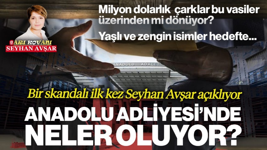 Yaşlı ve Zengin İsimler Hedefte... Anadolu Adliyesi'nde Neler Oluyor?