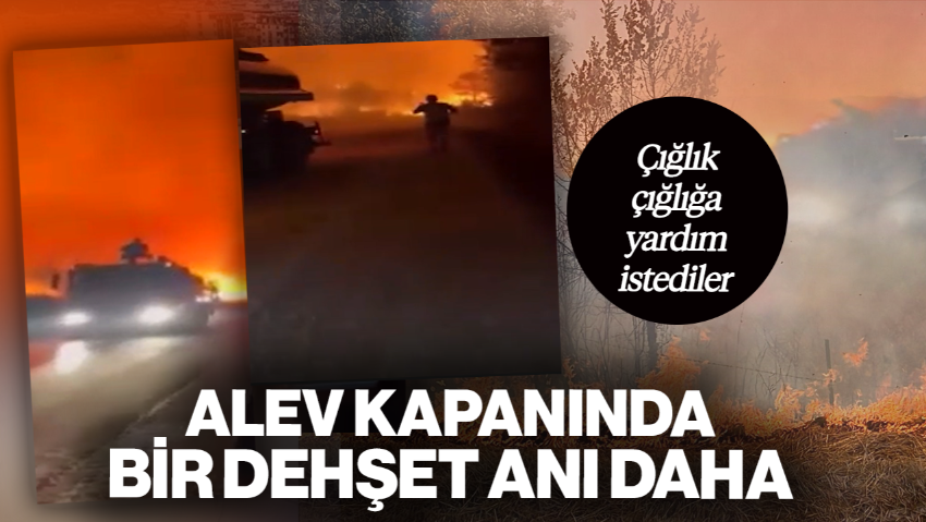 Alev Kapanında Bir Dehşet Anı Daha! Çığlık Çığlığa Yardım İstediler