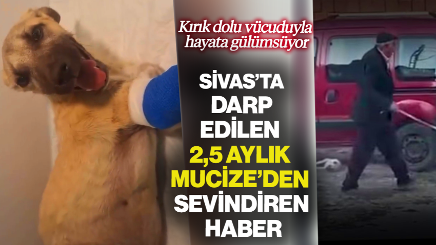 Kırık Dolu Vücuduyla Hayata Gülümsüyor! Sivas’ta Dakikalarca Darp Edilen 2,5 Aylık Mucize’den Sevindiren Haber