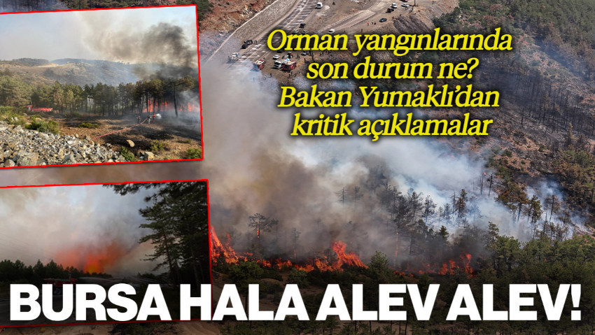 Orman Yangınlarıyla Amansız Mücadele Sürüyor! Bursa ve Karabük Yangınlarında Son Durum