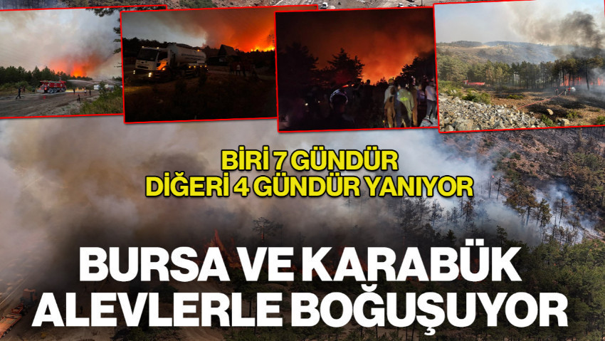 Orman Yangınlarıyla Amansız Mücadele Sürüyor! Bursa ve Karabük Yangınlarında Son Durum