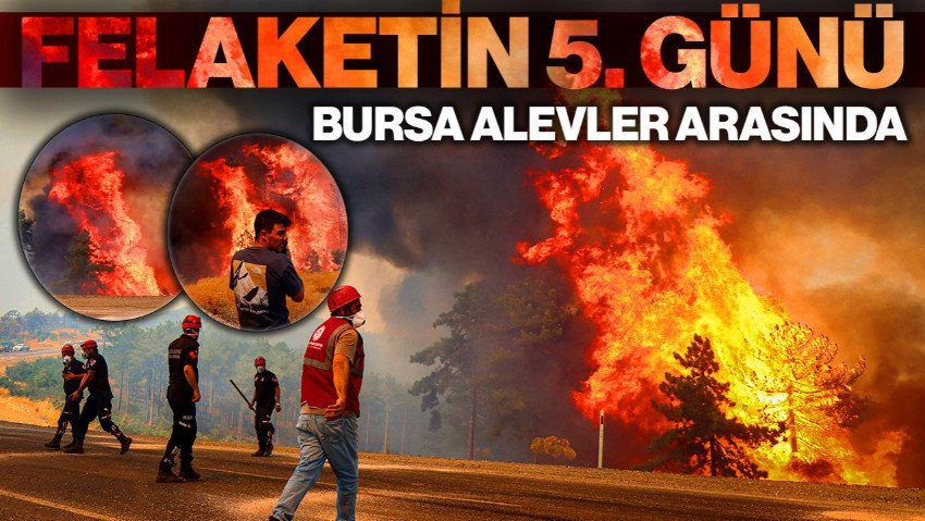 Bursa'da Felaketin 5. Günü! Ormanlar Küle Döndü, Köyler Boşaltıldı