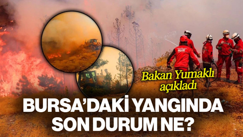 Bursa'daki Orman Yangınında Son Durum Ne? Bakan Yumaklı Açıkladı