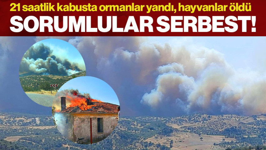21 Saatlik Kabusta Orman Kül Oldu, Hayvanlar Öldü! Sorumlular Serbest Kaldı