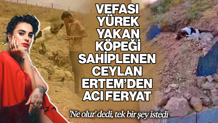 Vefası Yürekleri Yakan Köpeği Sahiplenen Ceylan Ertem’den Acı Feryat! 'Ne Olur' Dedi, Tek Bir Şey İstedi