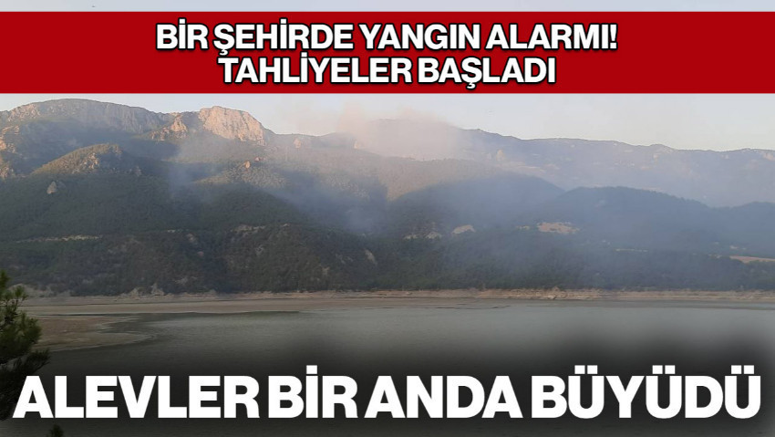 Sinop'ta Orman Yangını! Bir Köy Tahliye Edildi