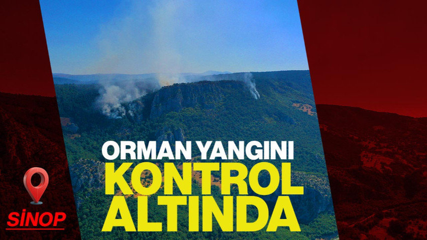 Sinop’taki Orman Yangını 2. Gününde Kontrol Altında