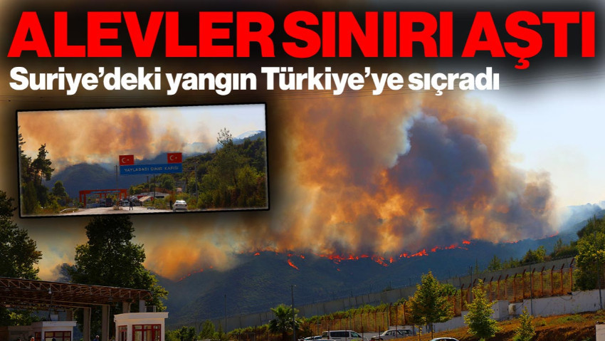 Alevler Sınırı Aştı: Suriye'deki Yangın Türkiye'ye Sıçradı