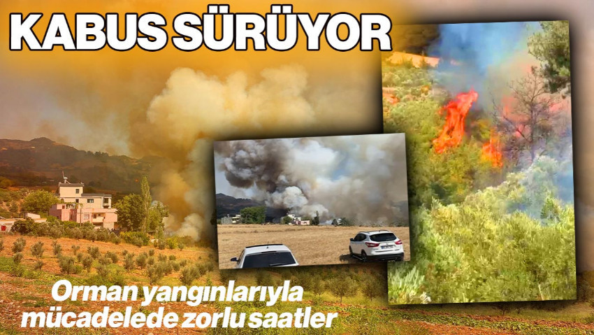 'Kızıl Kabus' 4 İli Sardı! Çanakkale'de Her Gün Bir Yeni Orman Yangını